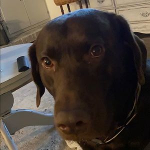 Meet your Posher, Garrett